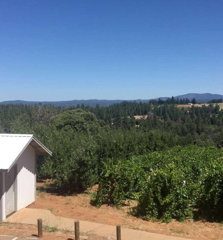 Goldbud Farms-普莱瑟维尔必去景点