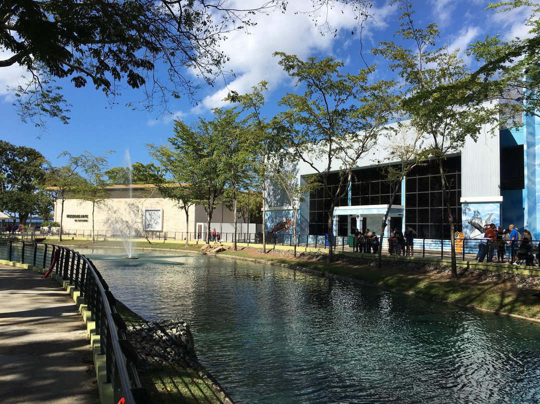 Science Park-圣胡安必去景点