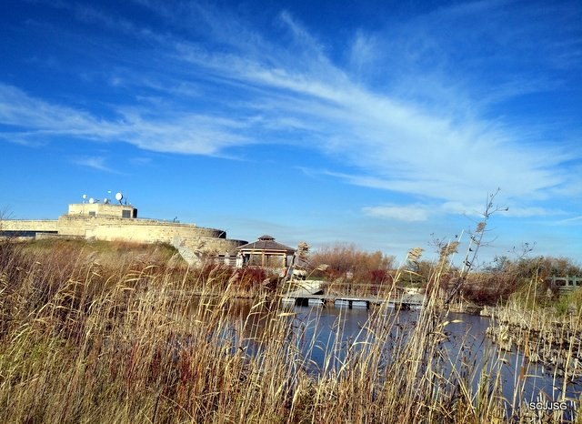 Oak Hammock Marsh Interpretive Centre景点图片