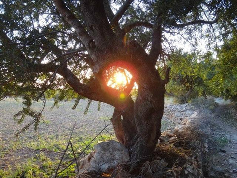 Berberlands - Day Tours