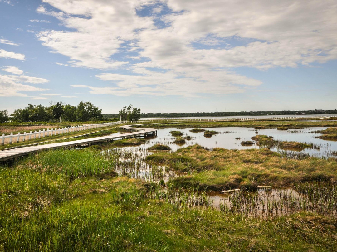 Neguac Bird Sanctuary (Ile-Aux-Foins Park)