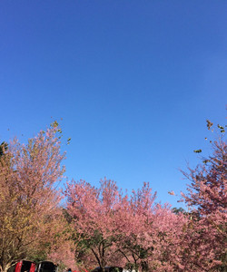 坤昌阡景点门票图片