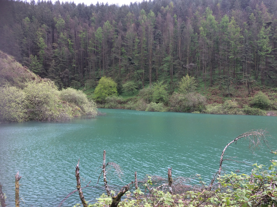 Brombil Reservoir景点图片