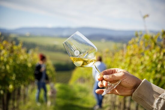La Combarbia Winery Montepulciano-Cervognano必去景点