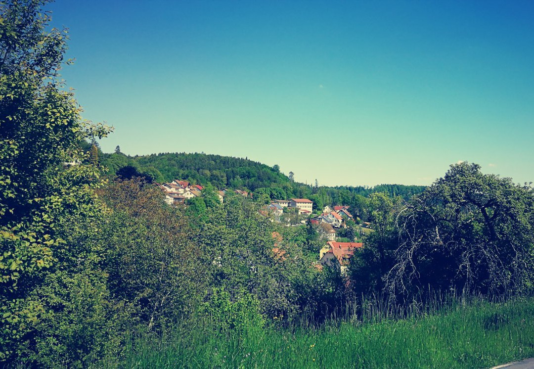 Hotel Gasthof Krone主图