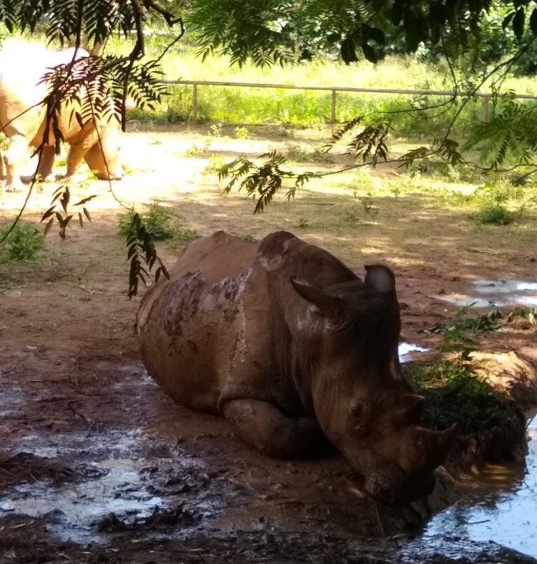 Uganda Wildlife Conservation Education Centre景点图片