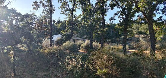 Hotel Rural El Sosiego主图