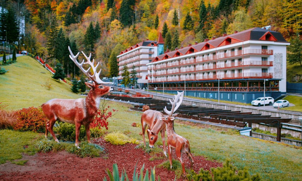 Sairme Resort-官方