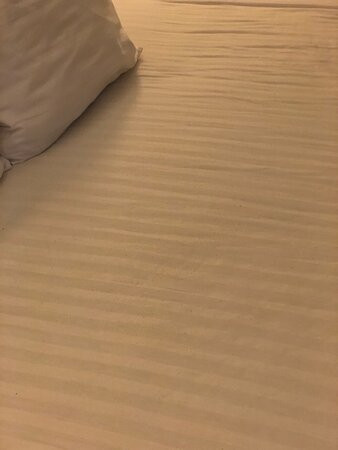 Aartpark Hotel Inn at Lewiston主图