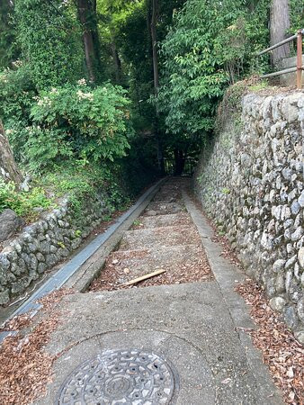 Suwahachiman Shrine-饭能市必去景点