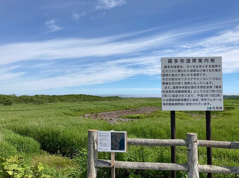 Kiritappu Wetland-滨中町必去景点