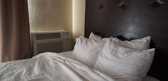 Best Western Plus Ellensburg Hotel主图