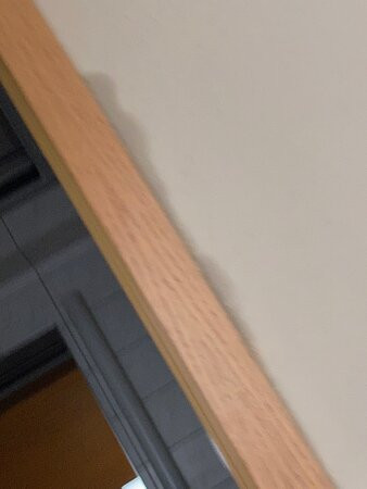 Waldhotel Berghof主图