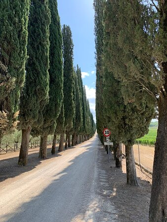 Tuscany Bicycle景点图片