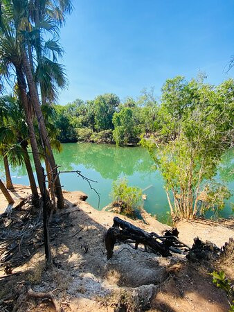 Mataranka Falls-Mataranka必去景点