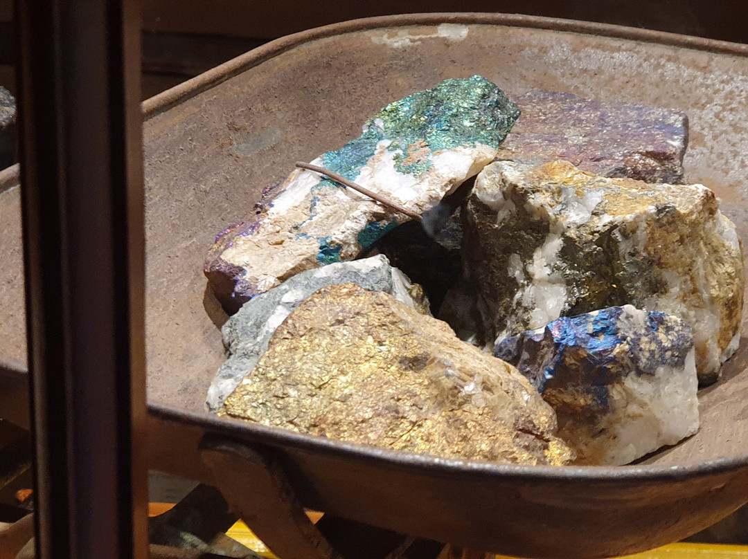 Lynchford Station-皇后镇必去景点