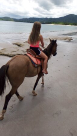 Horses Hiking Conchal Beach景点图片