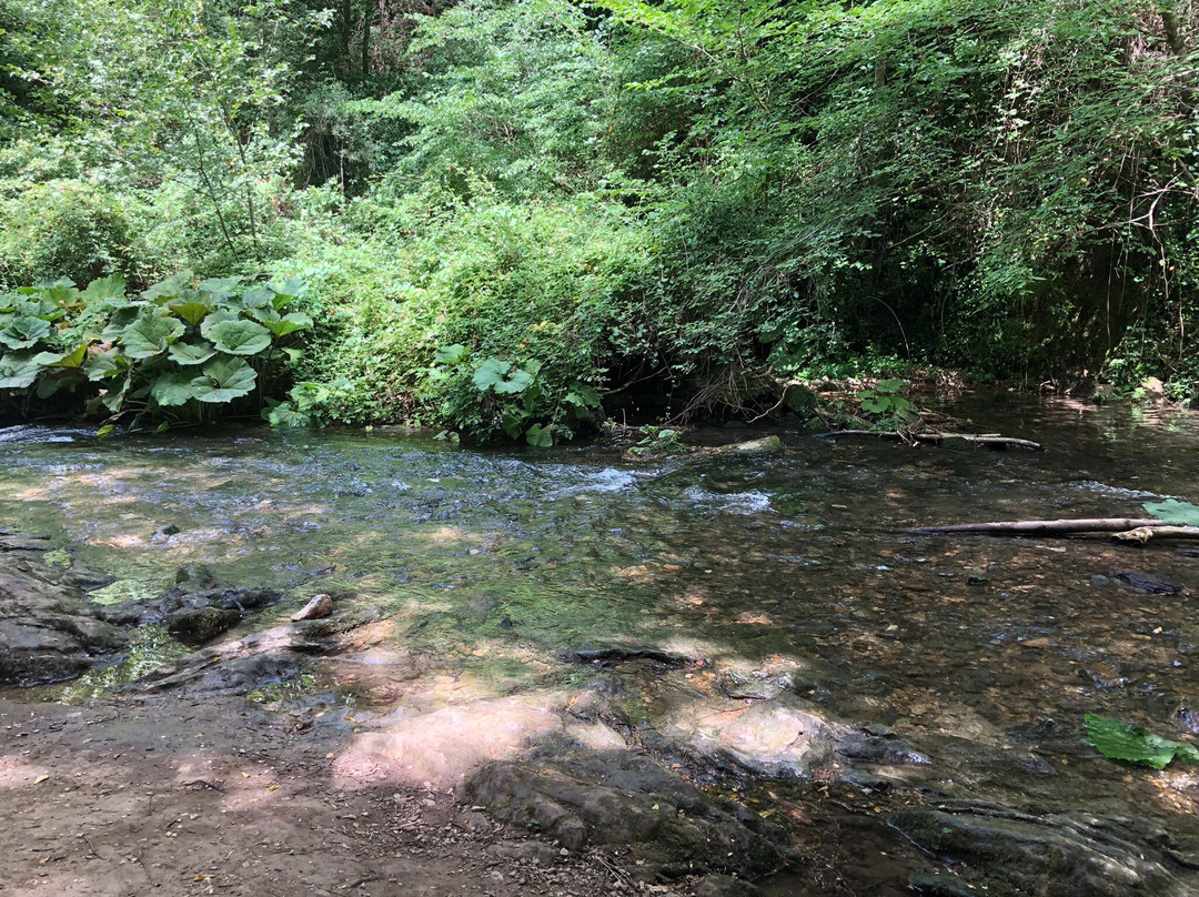 Cascate Di Carpinone-Carpinone必去景点