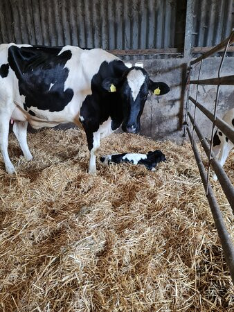 Fernydale Farm Bed & Breakfast主图