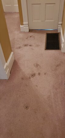 Cumberland Inn and Spa主图