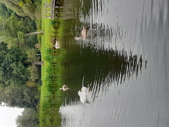 River Stour Trust Boat Trips景点图片