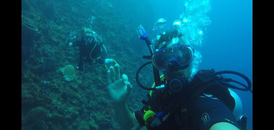 Cabrits Dive Centre-Portsmouth必去景点
