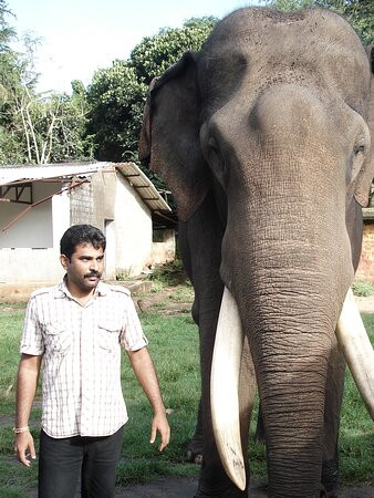 Anamalai Wild Life Sanctuary-Pollachi Town必去景点