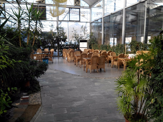 鑫双泉生态绿园餐厅主图