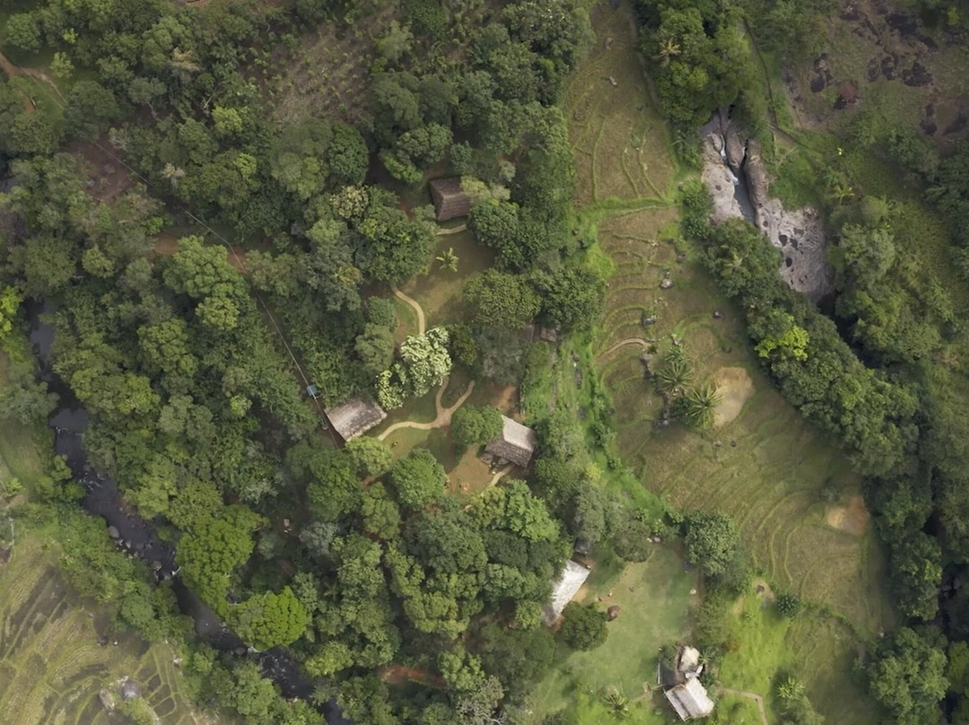 The Forestry Camps