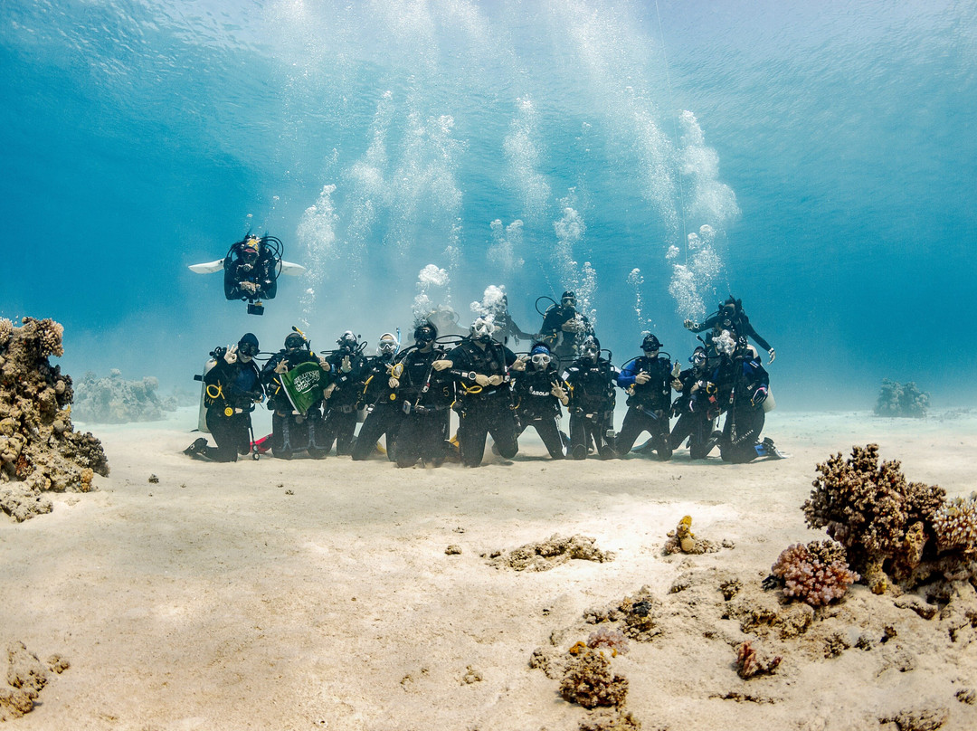 Corals And Shells Diving Center景点图片