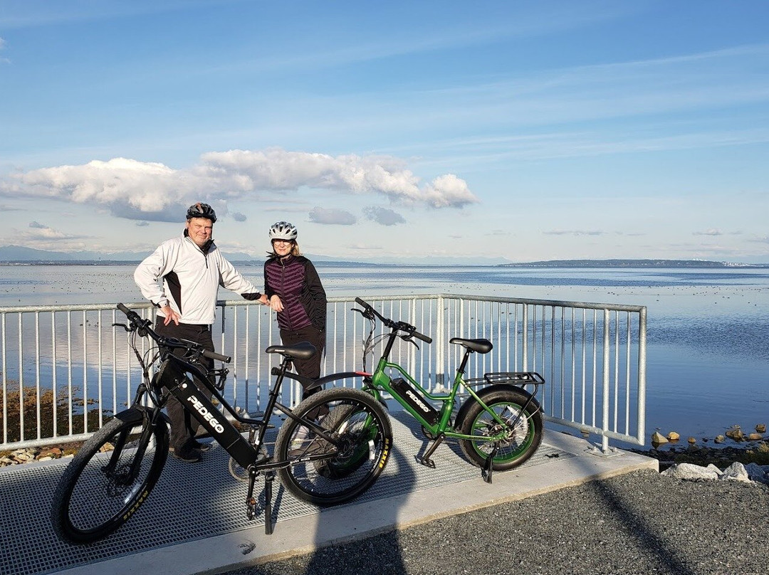 Pedego Delta景点图片
