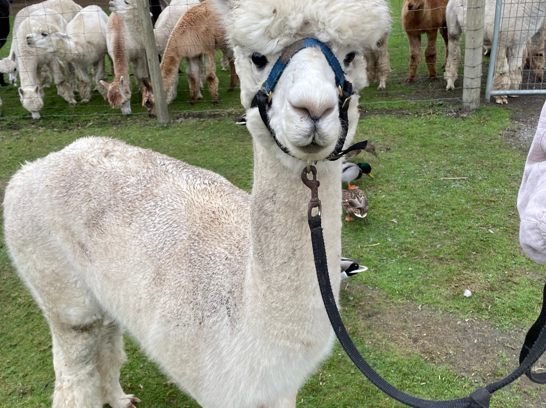 Kensington Prairie Farm