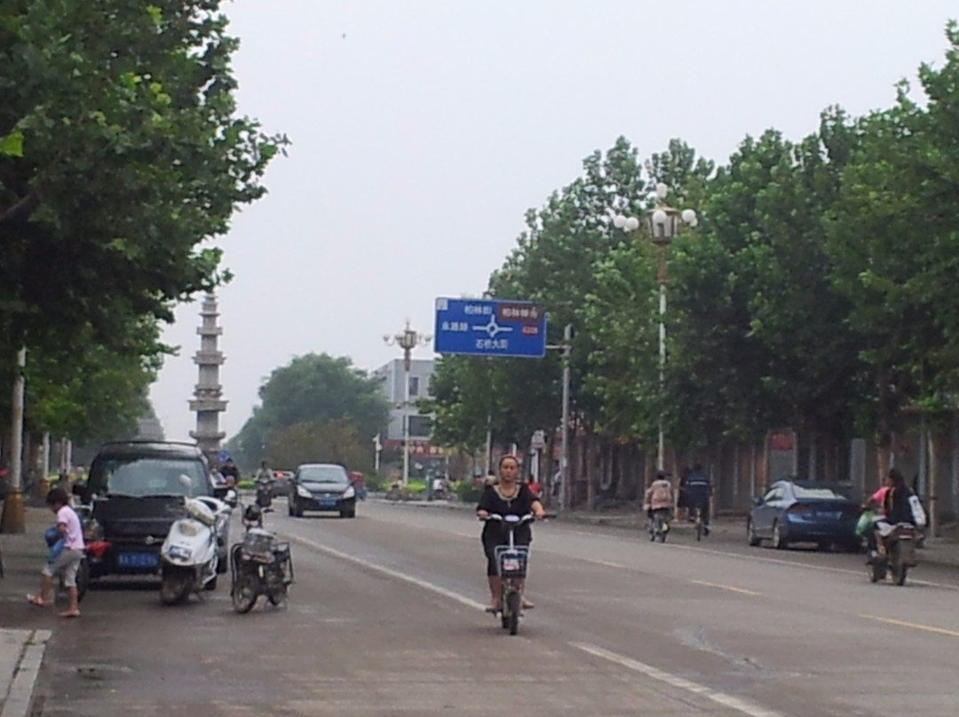 赵县旅游攻略图片