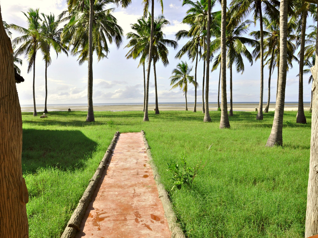 Saadani Park Hotel主图