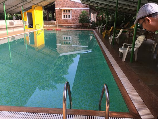 Inn Pondiville Forest Retreat主图