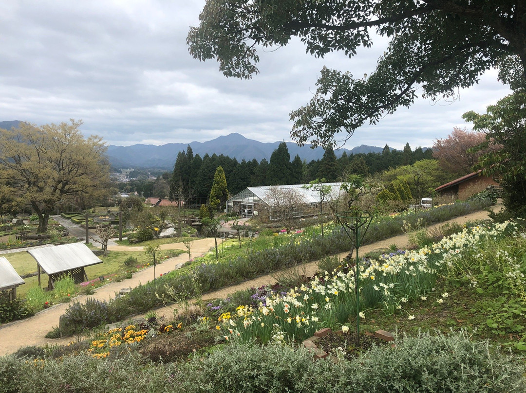 Aromatic Forest Park-邑南町必去景点
