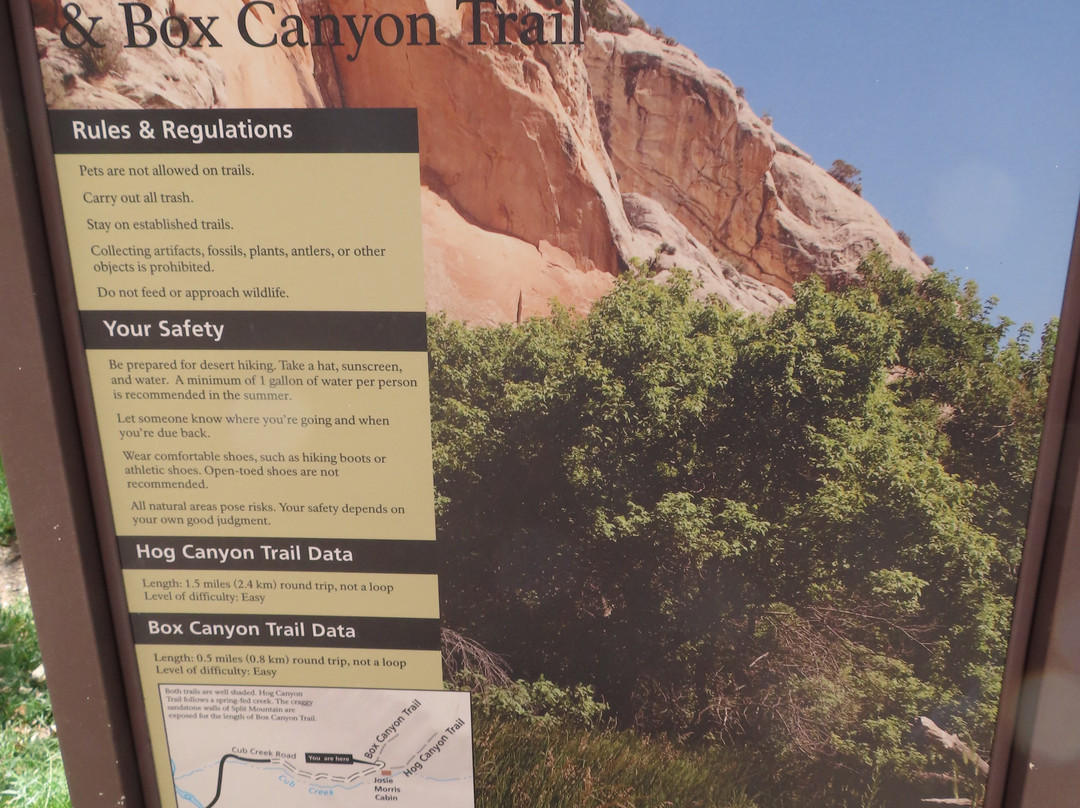 Box Canyon Trail景点图片