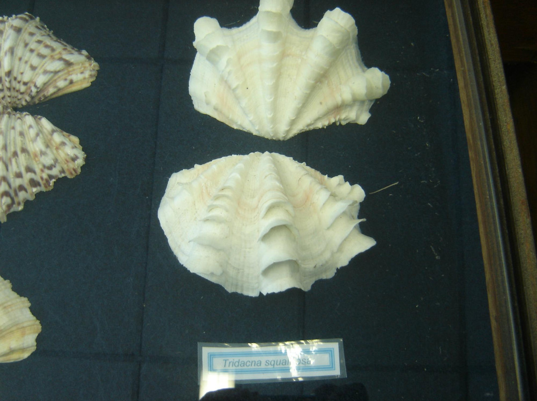 Marine Life Museum-乌巴图巴必去景点