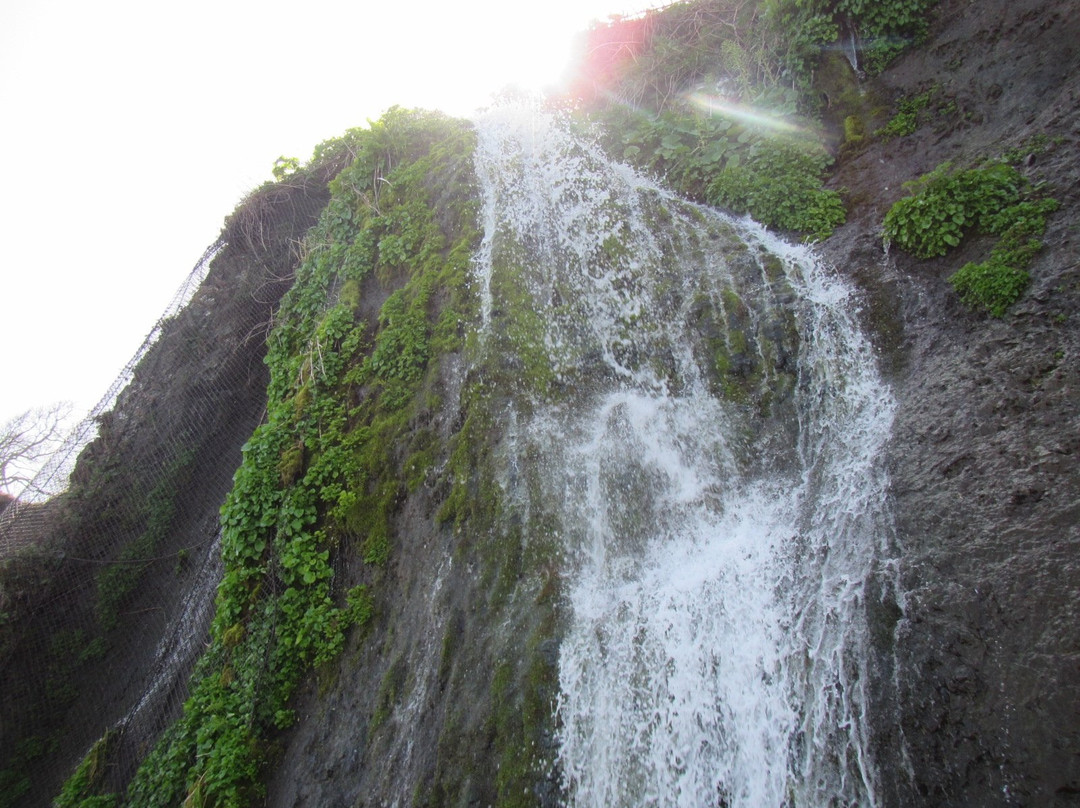 广尾郡旅游攻略图片