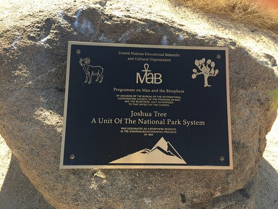 Twentynine Palms Oasis (Oasis of Mara)-约书亚树国家公园必去景点