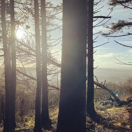 Macclesfield Forest-麦克尔斯菲尔德必去景点