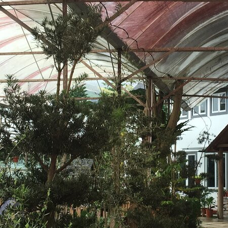 韦斯特伍德高地旅舍 - 青年旅舍主图