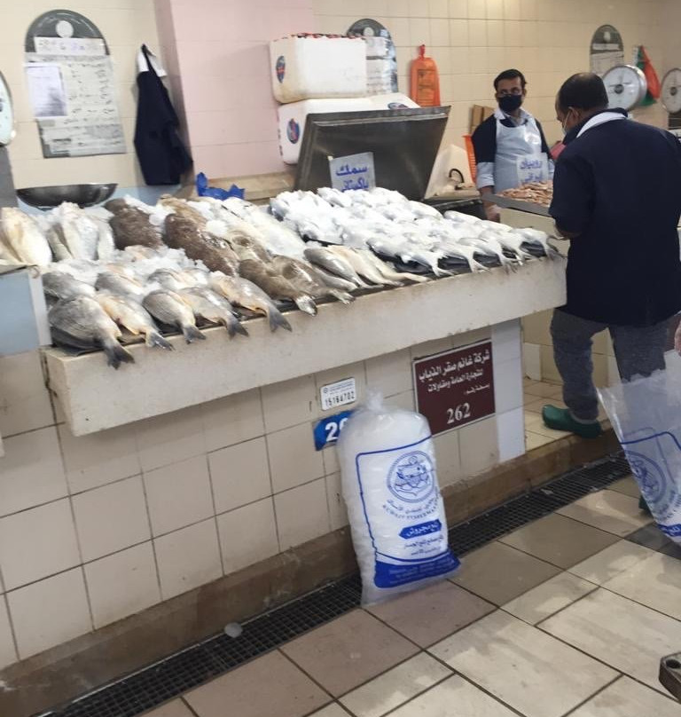 The Fish Market-Kuwait City必去景点