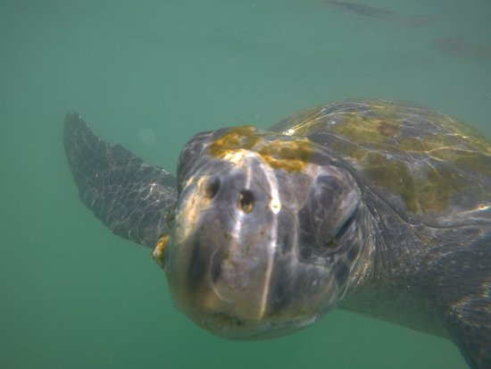 Puerto Velero-Organos必去景点