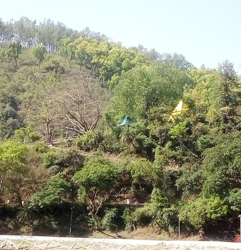 Mata Renuka Ji Temple景点图片