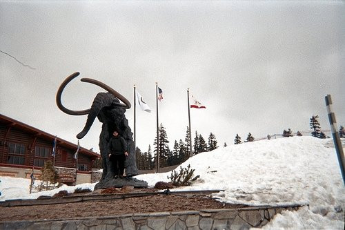 Mammoth Adventure Center景点图片