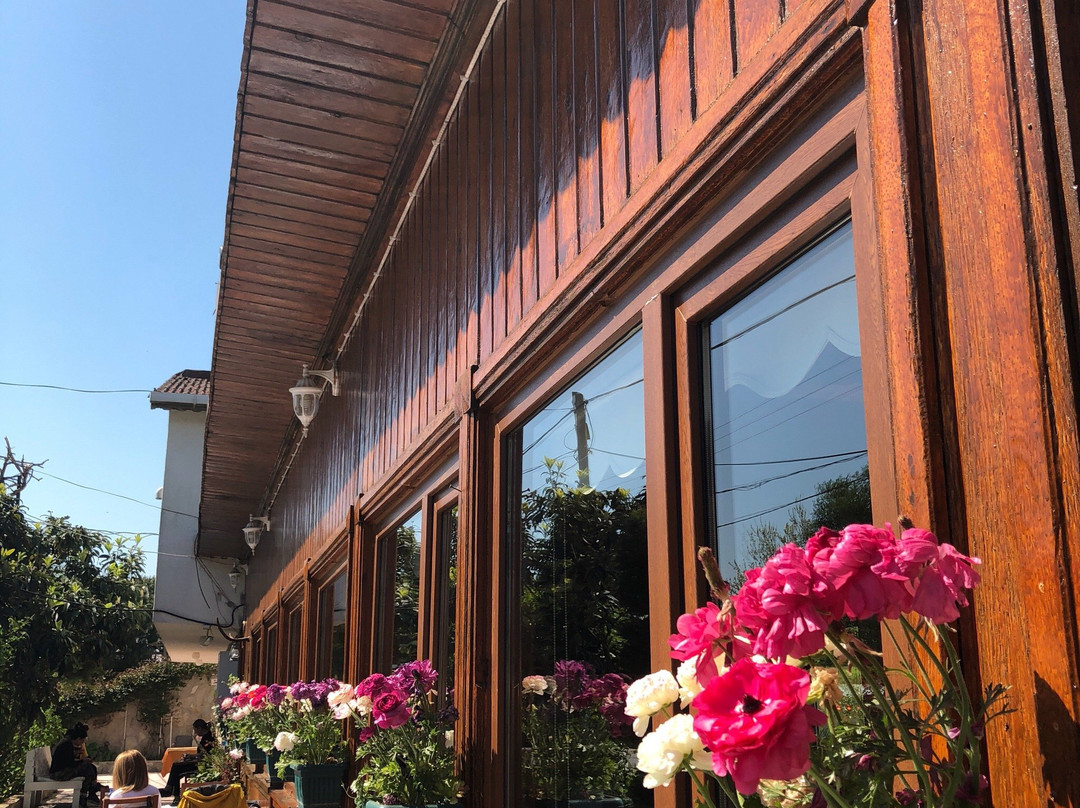 Mola Restaurant主图