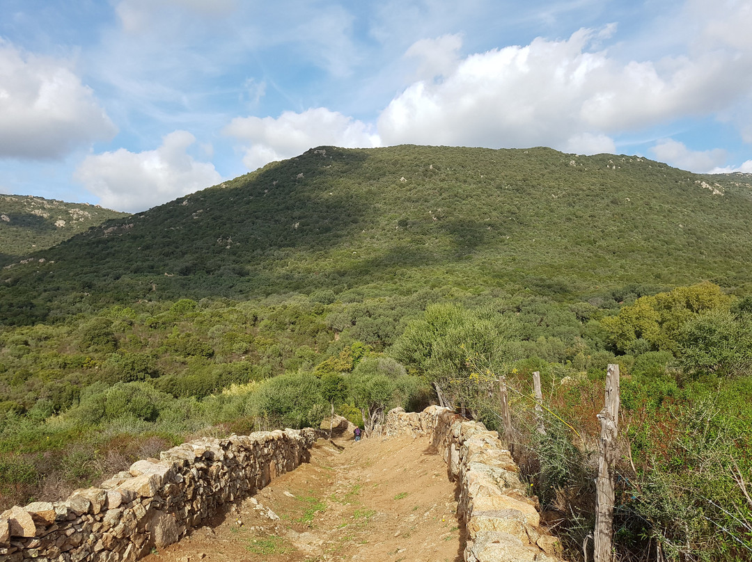 Monacia-d'Aullene旅游攻略图片