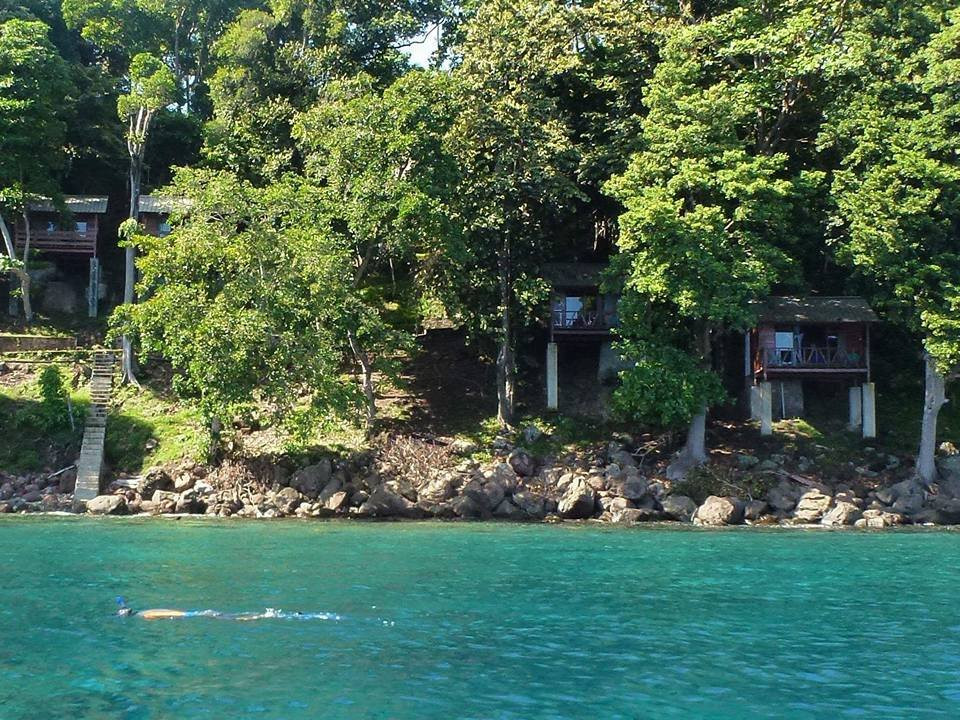 树顶旅馆别墅民宿