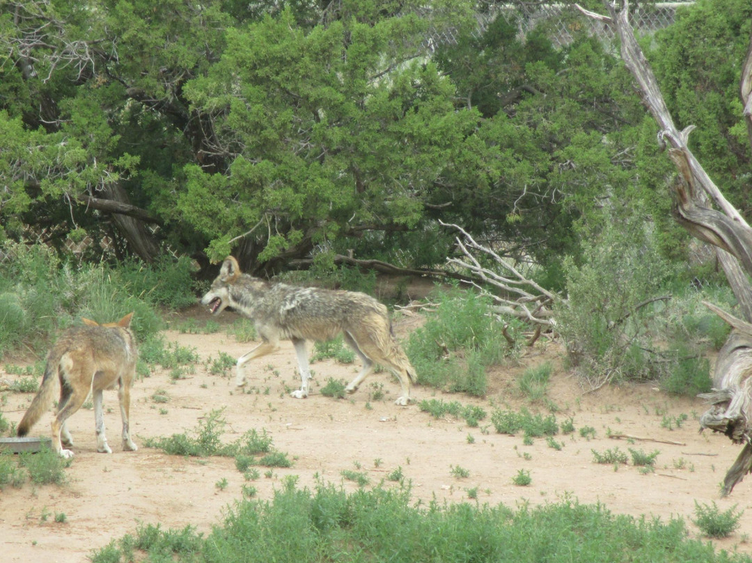 Edgewood旅游攻略图片
